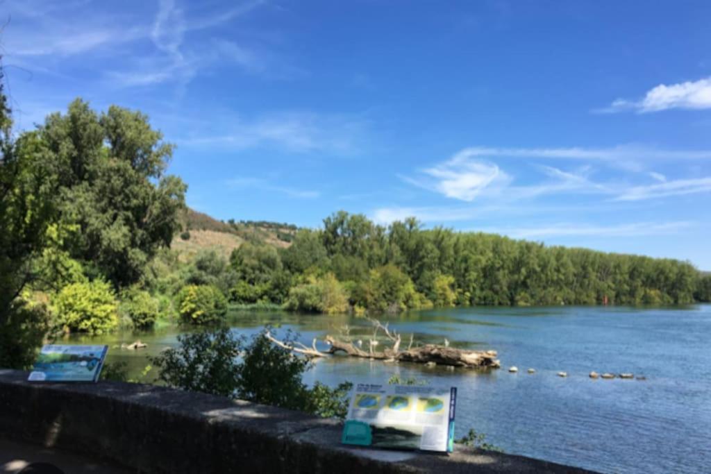 Les Loges De Bacchus L'Epicurieux Chonas-lʼAmballan Exterior foto
